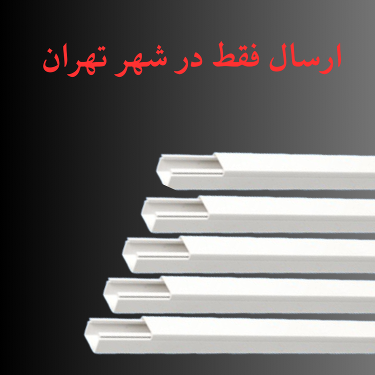 داکت 20*20 میلی متر دانوب - شاخه 2 متری (بسته 10 عددی)