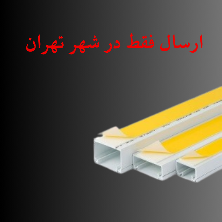 داکت 30*30 میلی متر پشت چسب دار دانوب - شاخه 2 متری (بسته 10 عددی)